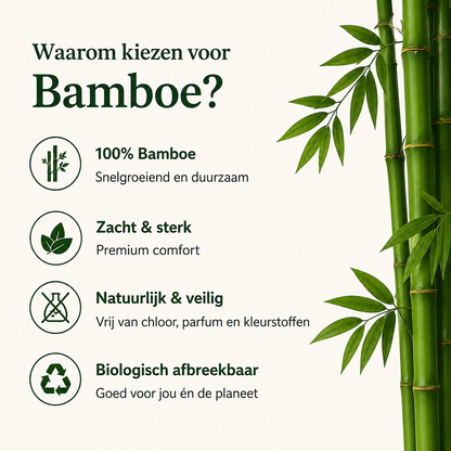 2-ply bamboo toilet paper | Sustainable and soft