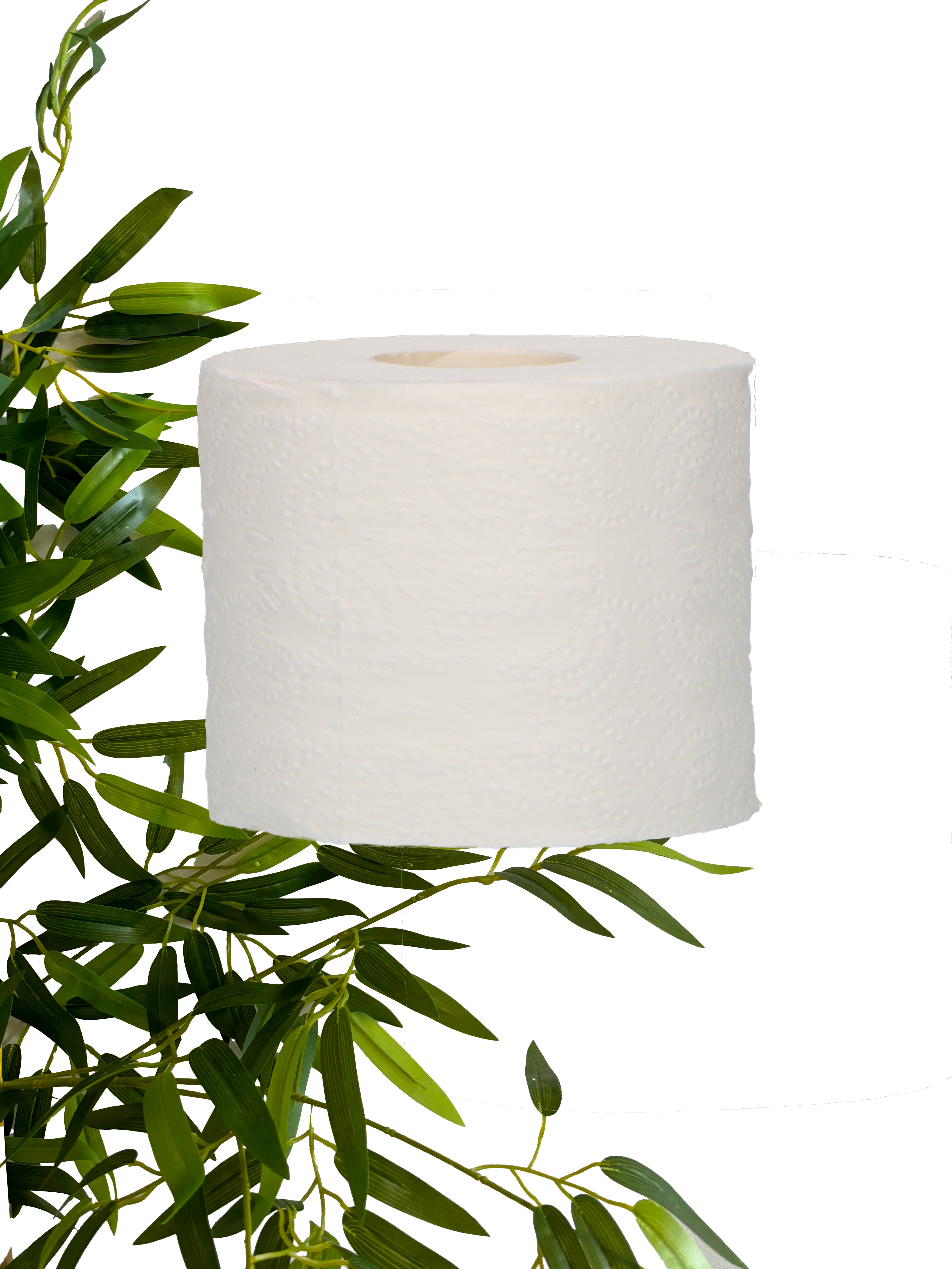 Bamboo Toilet Paper | Try out Package | 24 Unbleached + 24 White Toilet Rolls